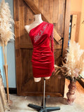 Velvet Feather Dress