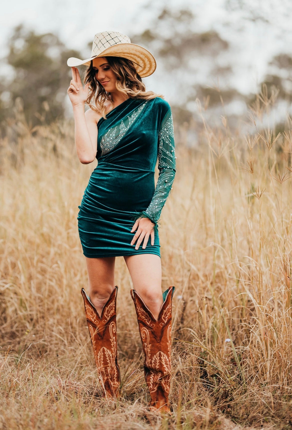 Velvet Feather Dress