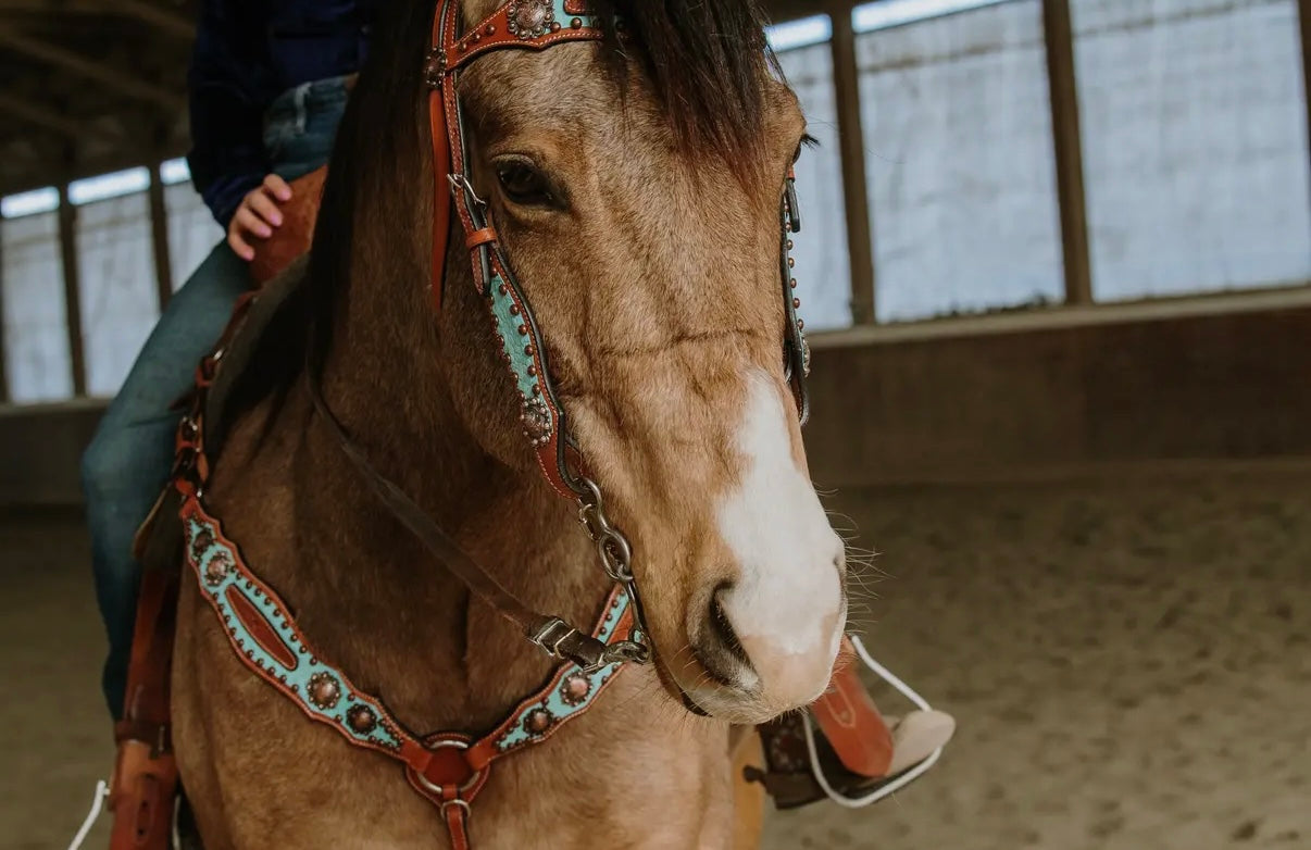 Annie Oakley Headstall & Breast Collar Set