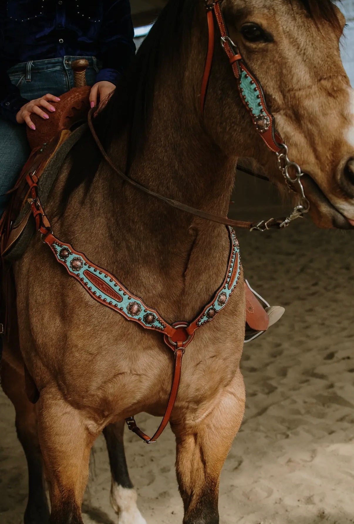 Annie Oakley Headstall & Breast Collar Set