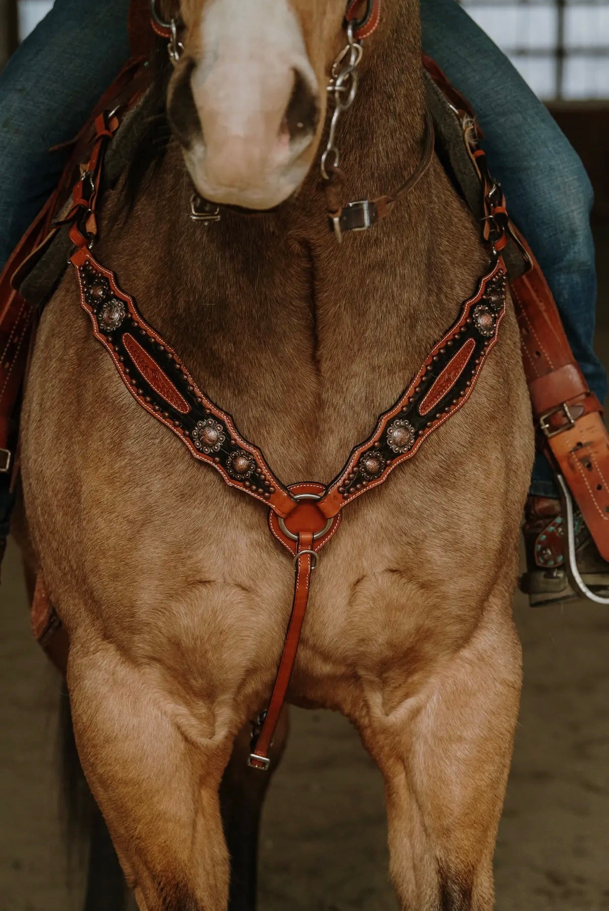 Jesse James Headstall and Breast Collar Set