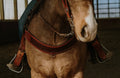 Wyatt Earp Tripping Collar