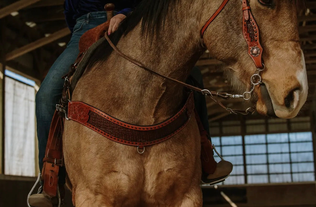 Wyatt Earp Tripping Collar